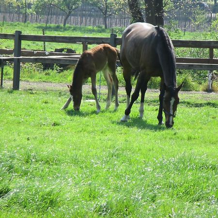 B&B De Turffabriek Griendtsveen Exteriör bild